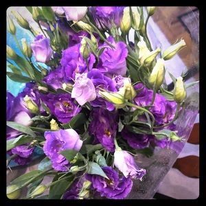 Meet your Posher, Kay